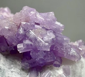 276 GM voll abgeschlossen fluoreszierende lila Apatit Kristalle Bündel auf Fuß Quarz - Bild 1 von 21