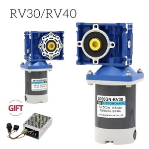 RV30/RV40 Worm Gearmotors Gear Reducer Gearbox Motor DC 12V/24V 60W 21-420RPM - Picture 1 of 12