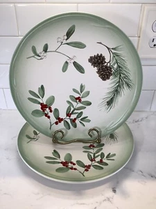 Pfaltzgraff Lot of 2 Winterwood Portfolio Canvas Tan 11” Dinner Plates USA - Picture 1 of 5