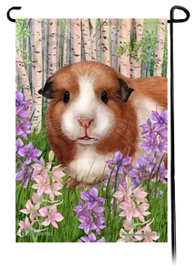 Frühlingsblumen Gartenflagge - Amerikanisches Meerschweinchen - Bild 1 von 1