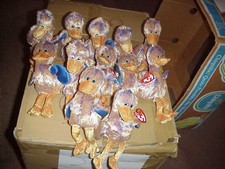 (1)DOZEN RETIRED TY DINKY the DODO BIRD**REG SIZE BEANIES*DOB SEPT 25,2000*MWMT(