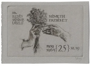 NANDOR LAJOS VARGA: Silberhochzeit  Laszlo Illyes-Erzsebet Nemeth - Picture 1 of 1