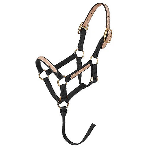 Halter Breakaway miniatura Tough1 Foto 1 de 1