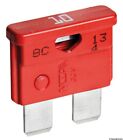 Osculati Pack of 100 Standardized Red 10A Blade Fuses