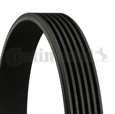 Continental Ctam 6pk1555 V-rib belt drive belt V-belt for Audi 72->