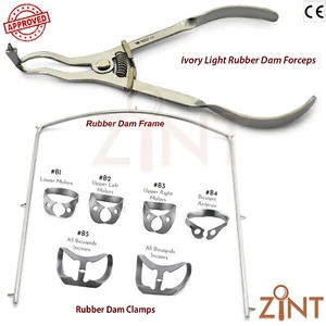 KIT DIGA IN GOMMA AVORIO PINZE TELAIO MORSETTI ASSORTITI ENDODONZIA DENTISTA SET - Foto 1 di 4