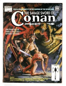 LA SPADA SELVAGGIA di CONAN IL BARBARO 210, FN (6.0) (SPEDIZIONE GRATUITA)* - Foto 1 di 2