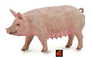 Sau weiblich Schwein Farm Spielzeug Modellfigur von CollectA 88863 brandneu - Bild 1 von 1