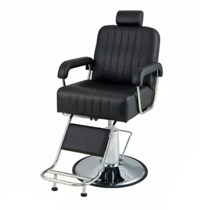 Salon Chair Hydraulic Pump Barber Chair Adjustable Headrest & Reclining Backrest - Picture 1 of 10