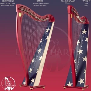 34 corde leva arpa drake leva arpa americana 34 corde splendidamente artigianale - Foto 1 di 4
