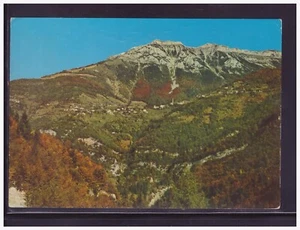 Cartolina S. Donato Di Lamon m 900 Monte Coppolo m 2150 EC909 - Foto 1 di 1