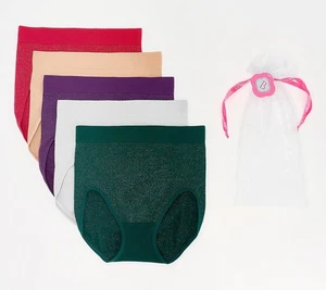 Breezies Sparkle Stripe Seamless Brief 5 Pack in Gift Bag Holiday M New - Picture 1 of 1