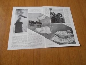 1931 APPUNTAMENTO AL POLO NORD PROGRAMMA ANNUALE SVILUPPI FUTURI MALYGHIN RUSSO - Picture 1 of 1