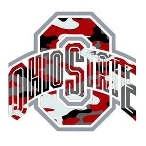 Ohio State Buckeyes Car Magnet Laminated - Picture 1 of 2