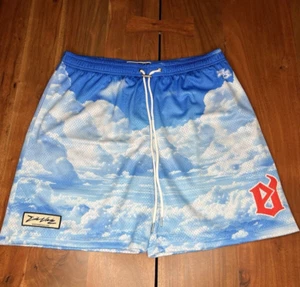 Evil Vice | Heaven - sz. XL | NWT - Mesh Shorts | SOLD OUT COLORWAY - Picture 1 of 10