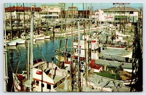 Fischereiflotte Boote, Fisherman's Wharf, Tarantino's San Francisco Postkarte P2 - Bild 1 von 2