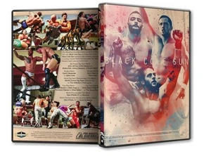 Pro Wrestling Guerrilla Black Cole Sun DVD, PWG ROH Kyle O'Reilly Adam Ricochet - Imagen 1 de 1