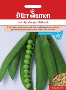 Markerbsen Salout Samen von Dürr Samen ca 200 Korn Erbsensamen Erbsen - Bild 1 von 1