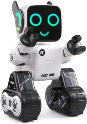 Cady Wile Robo-Advisor | Intelligenter Remote Roboter