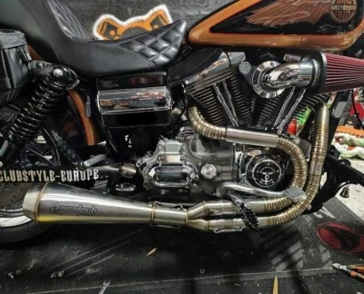 Silenciador de tubos de escape 2 en 1 para Harley-Davidson Dyna FXD 99-17 Foto 1 de 3