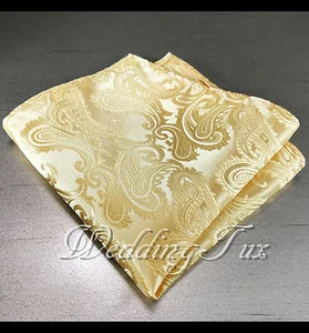 NEW PAISLEY Pocket Square Handkerchief Hankie Only 43 colors Party Prom Wedding - Picture 1 of 45