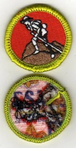Scouting Heritage Merit Badge, Type K, "BSA 2010" Back (2010-12), Mint! - Picture 1 of 1