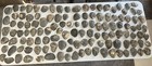 💥 124 Crib Mound Cache Blades Spencer Co, IN Found By Art Gerber Arrowheads 💥