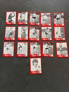 1976 Pepsi Los Angeles Skyhawks ASL Soccer Set (16) - Bild 1 von 15