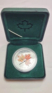 2001 $5 Canada 1 Ounce Silver Colorized Maple Leaf Coin - Picture 1 of 8