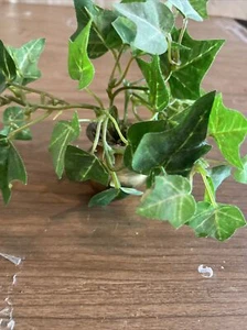 Miniatur Messing Blumentopf & Kunstranke  - Bild 1 von 4