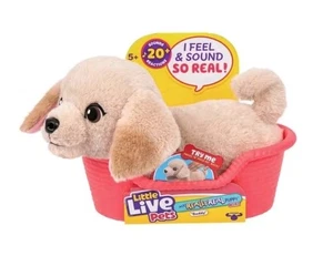 Little Live Pets - My Really Real Puppy Mini - Buddy the Retriever - New AU - Picture 1 of 3