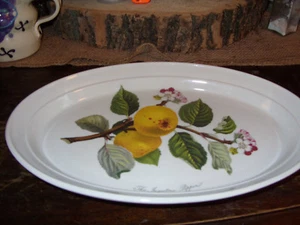 PORTMEIRION POMONA RARE INGESTRIE PIPPIN ELDEST TYPE OVAL PLATTER UNUSED V. RARE - Picture 1 of 7