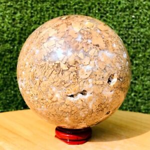 894G Rare Natural Ocean jasper Quartz Sphere Crystal Ball Specimen Healing