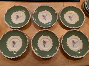 6 Royal Worcester 6.5" PILLAMENT RarePattern,purple toile center,green rim - Picture 1 of 5