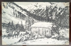 Gruppo di pecore Rocky Mt in Lackawanna Gulch, CO - 1940, bordi grezzi - Foto 1 di 4