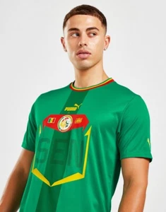 2022/23 WORLD CUP SENEGAL HOME KIT FOOTBALL SHIRT - Picture 1 of 8