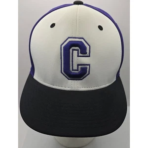 Gorra de béisbol Cornell College Rams Richardson NCAA Flexfit púrpura S/M PTS 20 - Imagen 1 de 12