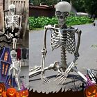 Halloween Human Skeleton Oversized Poseable Full Life Size Decoration Party Prop