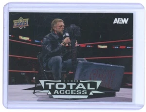 2025 ADAM COPELAND UPPER DECK AEW #TA-4 TOTAL ACCESS!! - Picture 1 of 1
