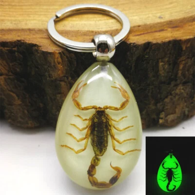 Luminous scorpion keychain transparent resin scorpion man fashion accessories - Image 1 of 4