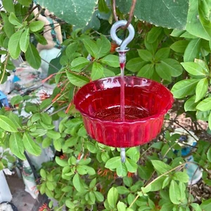 Ant Moat, Ant Trap, Ant Prevention, Naturally Stops Ants, Hummingbird feeders - Picture 1 of 4