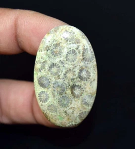 45.00 Cts. 100% Natural Yellow Flower Fossil Coral Oval Cabochon Loose Gemstone - Picture 1 of 2