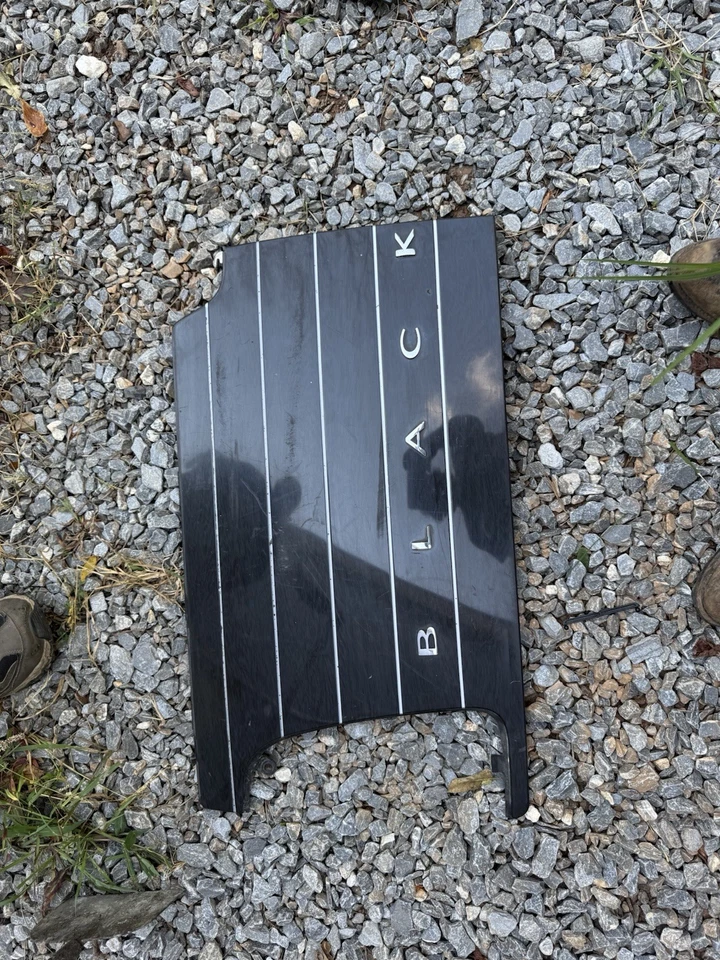 Nuevo OEM 2002 Lincoln Blackwood Puerta Trasera Izquierda Cuerpo Inferior Acabado Panel Moldura Foto 1 de 4