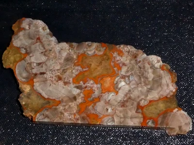 LOSA DE JASPE DE SETAS 4 1/4" x 2 7/8" áspera, cableado - exhibición, ciencia Foto 1 de 3