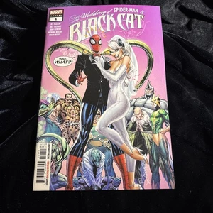 The Wedding of Black Cat and Spider-Man Marvel - Picture 1 of 9