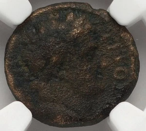 Titus 79-81 AD AE 16 Bronze Decapolis Gadara SC Coin Roman Empire, NGC Ch F - Picture 1 of 5