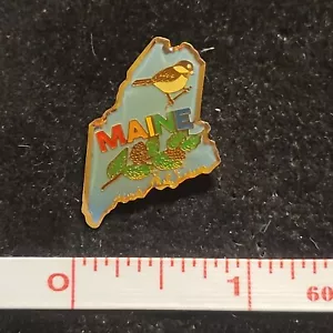 Maine ME Souvenir State Reversnadel Mütze Weste Krawatte Tack Harz Goldton Vogelblume - Bild 1 von 2