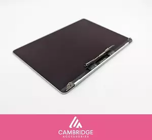 MacBook Pro A1989 A2159 2018 2019 A2251 A2289 13" LCD Screen Assembly Silver - Picture 1 of 20
