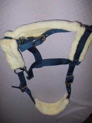 SHOWMASTER HALFTER Blau/ Petrol- mit Fell- PONY - Bild 1 von 3