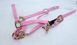 NEU Halfter Intec Nylon Messing Sicherheit Abreißclip verstellbar Pferd (COB-Größe) - Bild 1 von 5